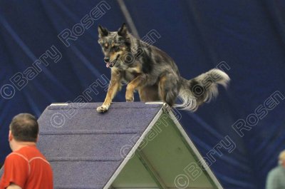 LTT_3536.jpg