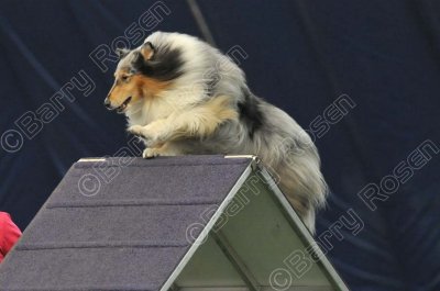 LTT_3572.jpg
