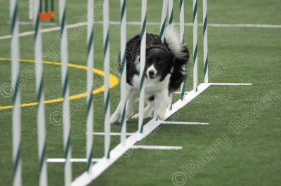 LTT_4089.jpg