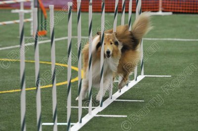 LTT_4112.jpg