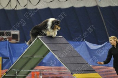 LTT_4163.jpg