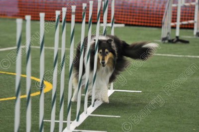 LTT_4165.jpg