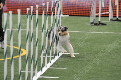 LTT_4189.jpg
