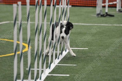 LTT_4244.jpg