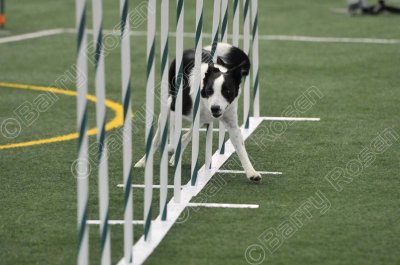 LTT_4245.jpg