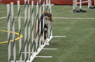 LTT_4257.jpg