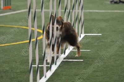 LTT_4259.jpg