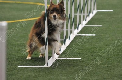 LTT_4262.jpg