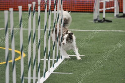 LTT_4274.jpg