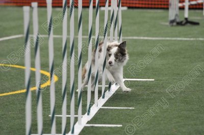 LTT_4275.jpg