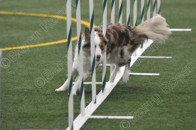LTT_4278.jpg