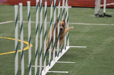 LTT_4283.jpg
