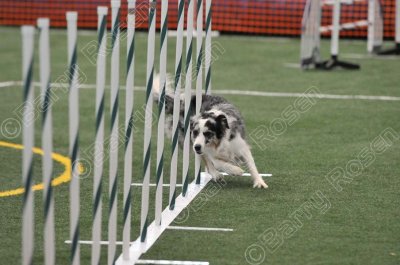 LTT_4293.jpg