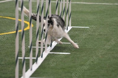 LTT_4295.jpg
