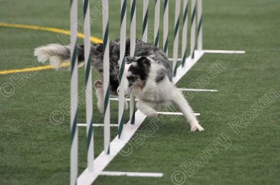 LTT_4296.jpg