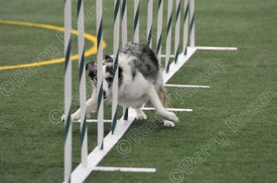 LTT_4297.jpg