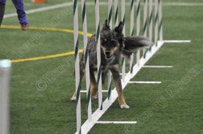 LTT_4306.jpg
