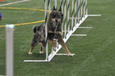 LTT_4308.jpg