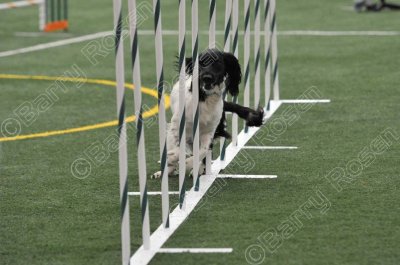 LTT_4316.jpg