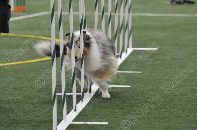 LTT_4328.jpg