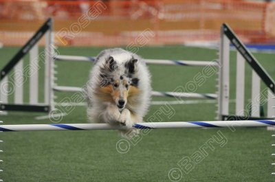 LTT_4331.jpg