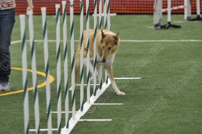 LTT_4334.jpg