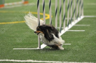 LTT_5079.jpg