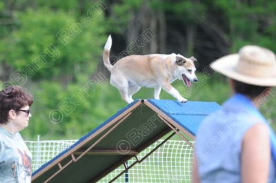 STK_0283.jpg