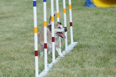 STK_0287.jpg