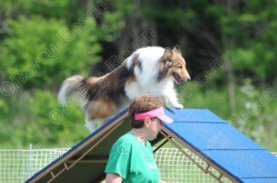 STK_0332.jpg