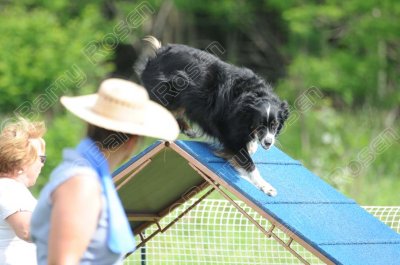 STK_0408.jpg