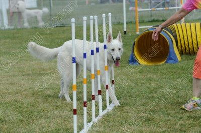 STK_0519.jpg