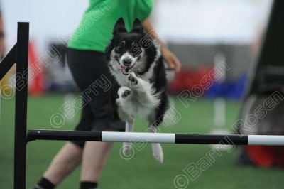 KEY_0369.jpg