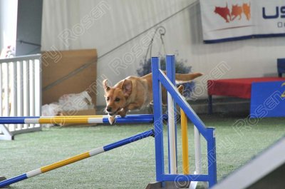 KEY_1209.jpg
