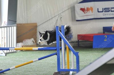 KEY_1230.jpg