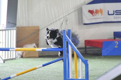 KEY_1326.jpg