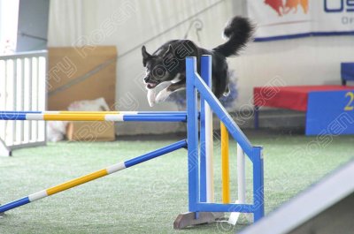 KEY_1338.jpg