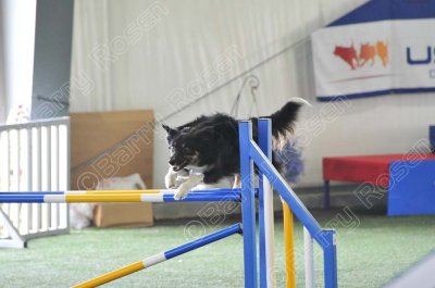 KEY_1390.jpg