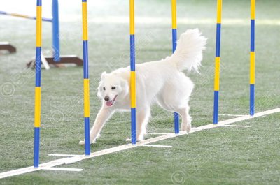 KEY_3433.jpg