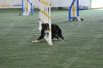 KEY_4919.jpg