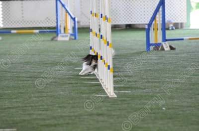 KEY_4978.jpg