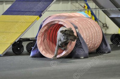 PE6_6624.jpg