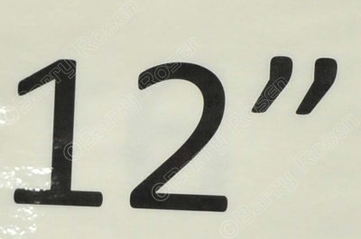 PE6_6667.jpg