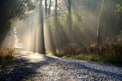  Sun and Light