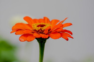 g9/95/499495/3/151498720.d2AAYXvw.jpg