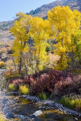 Wasatch fall 2013