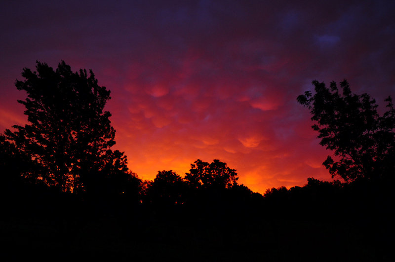 Morning Mammatus