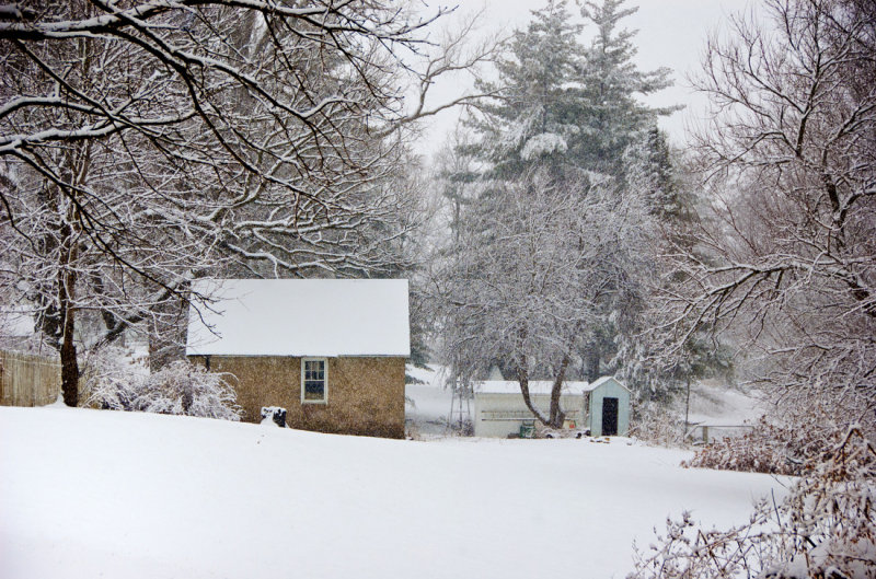 Snow Storm with Barn