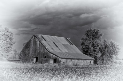 Middle Fork Barn