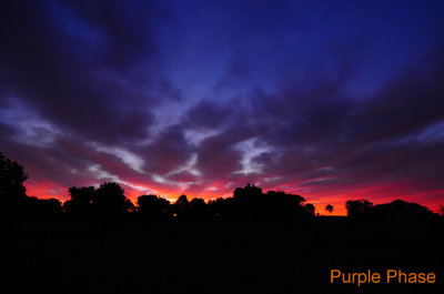 Sunrise (Purple Phase)